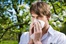 PR/Pressemitteilung: Fokusthema Allergien & Heuschnupfen