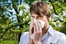 PR/Pressemitteilung: Fokusthema: Heuschnupfen und Allergien