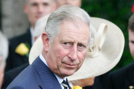 Prinz Charles freut sich auf royales Baby