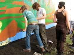 Guerilla Gardening: Gärtnern ohne Garten